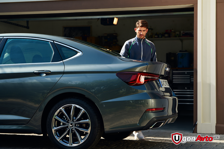 Alligator C-500: брать или нет? Честный отзыв после года использования