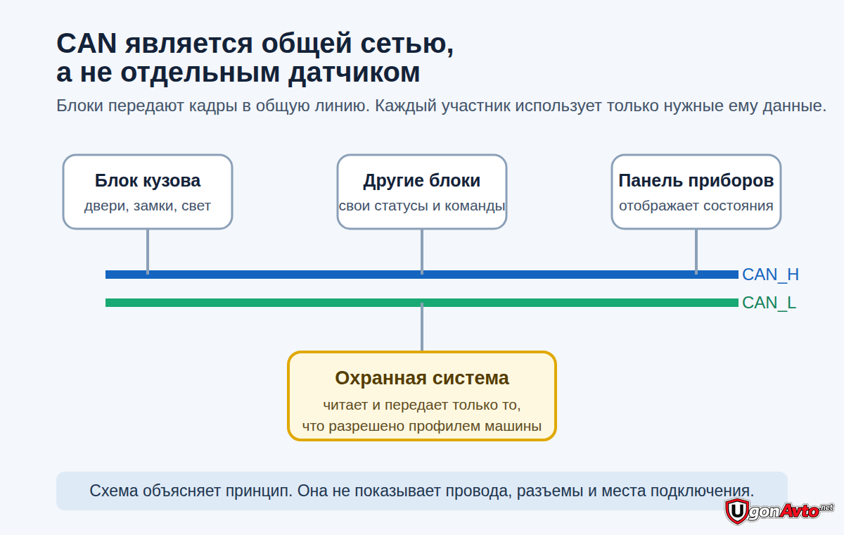 CAN-шина в автомобиле: что это и зачем она сигнализации